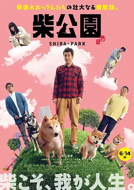 久久精品国产三级不卡