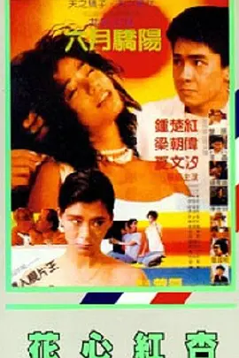 导演的粗心